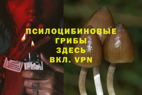 мдпв Армянск
